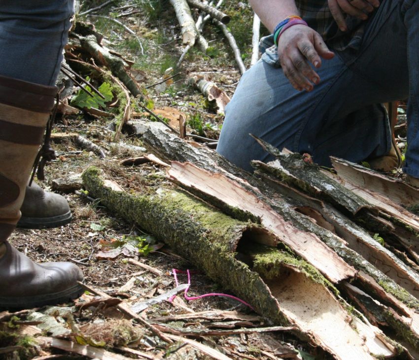 Two people, visible from the knees down, stand and kneel near logs and bark on a forest floor. The logs are covered in moss and bark fragments, and a pink string lies among the debris.